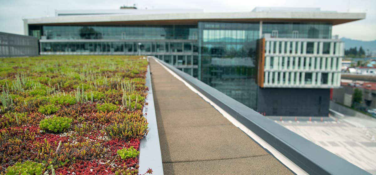Surrey Library - photo 2