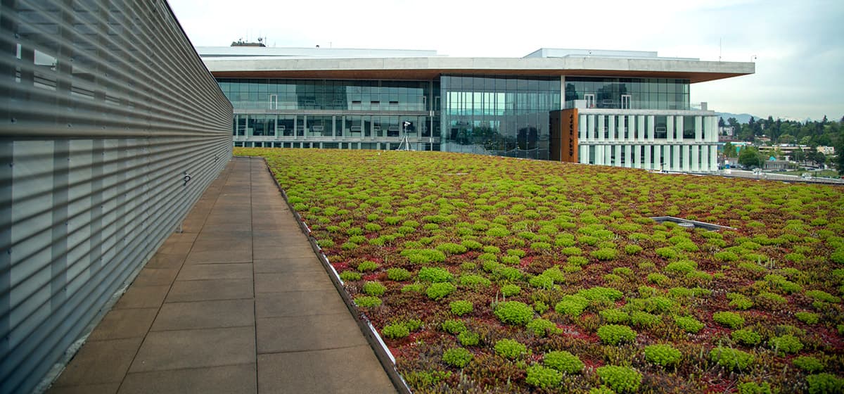 Surrey Library - photo 4
